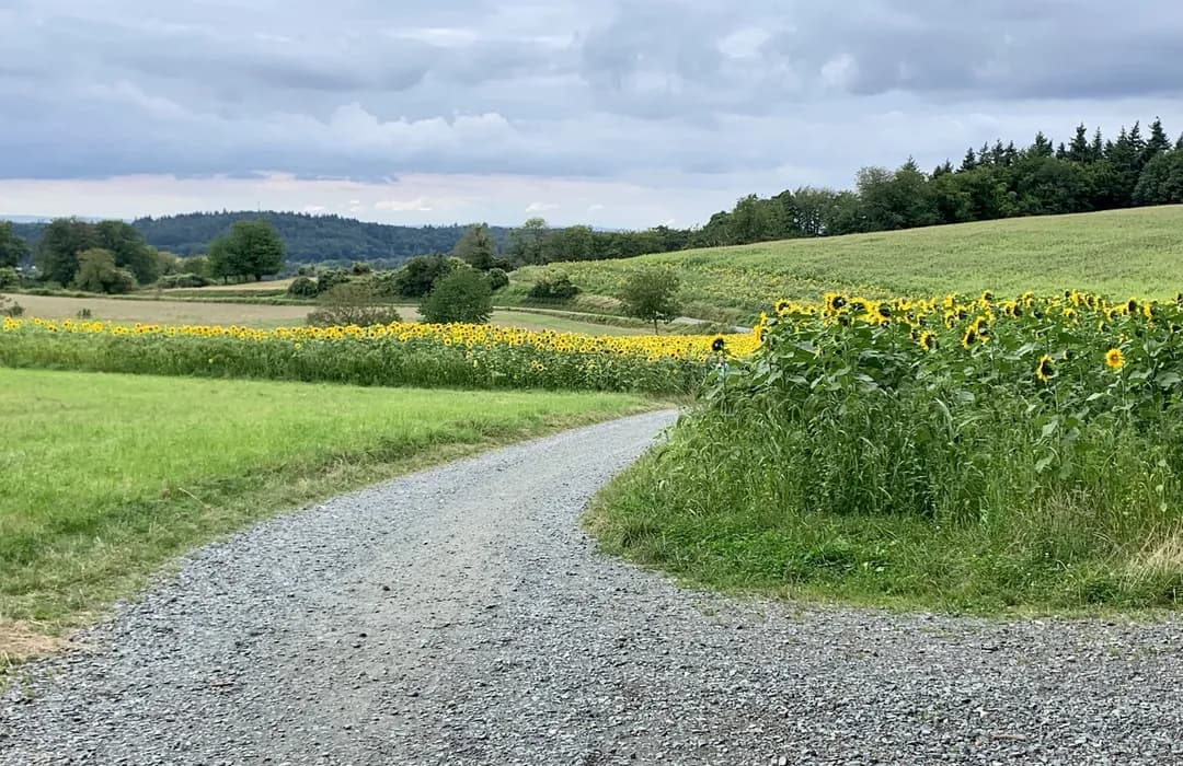 Erholungsgebiet Mühltal – Bild 3