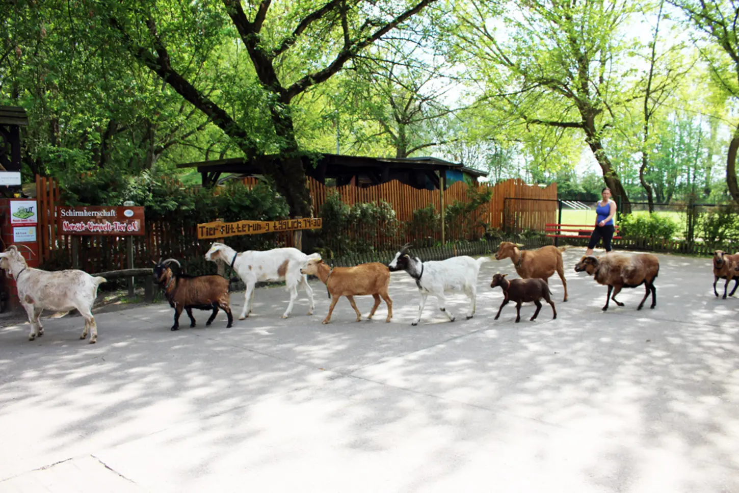 Kinderbauernhof Knirpsenfarm – Bild 3