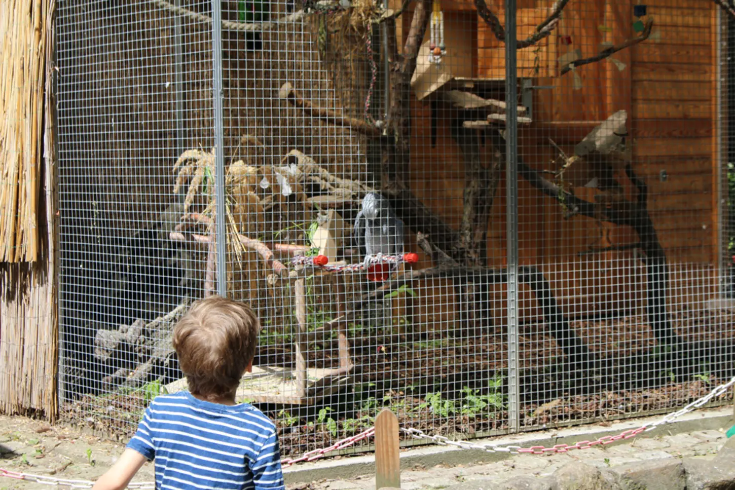 Kinderbauernhof Knirpsenfarm – Bild 5