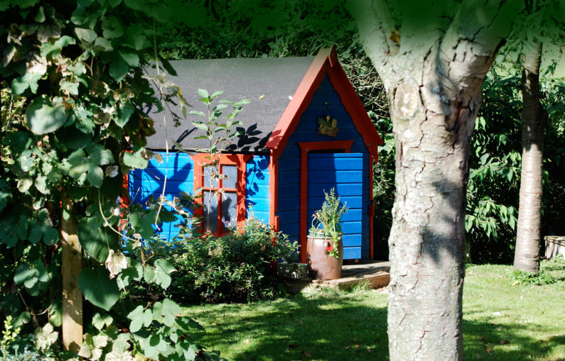 Ferienhof Willms – Bild 5