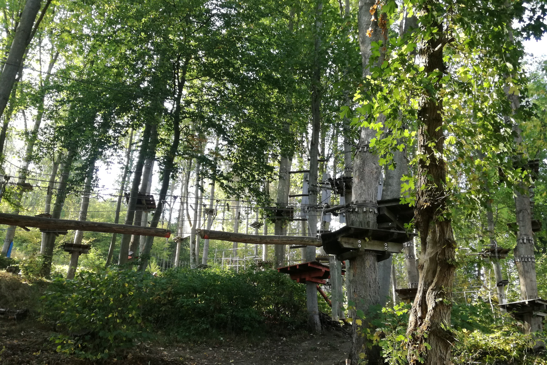 Wipperia Funpark Kletterwald – Bild 2