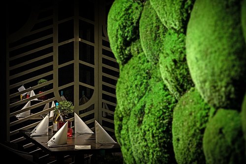 Zum grünen Kakadu - Staatstheater Mainz – Bild 1