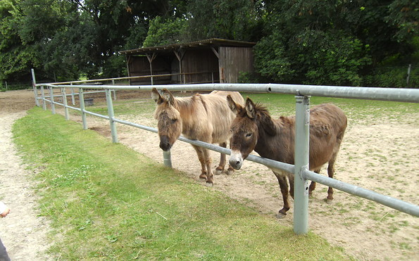 Kinderbauernhof Großziethen – Bild 1