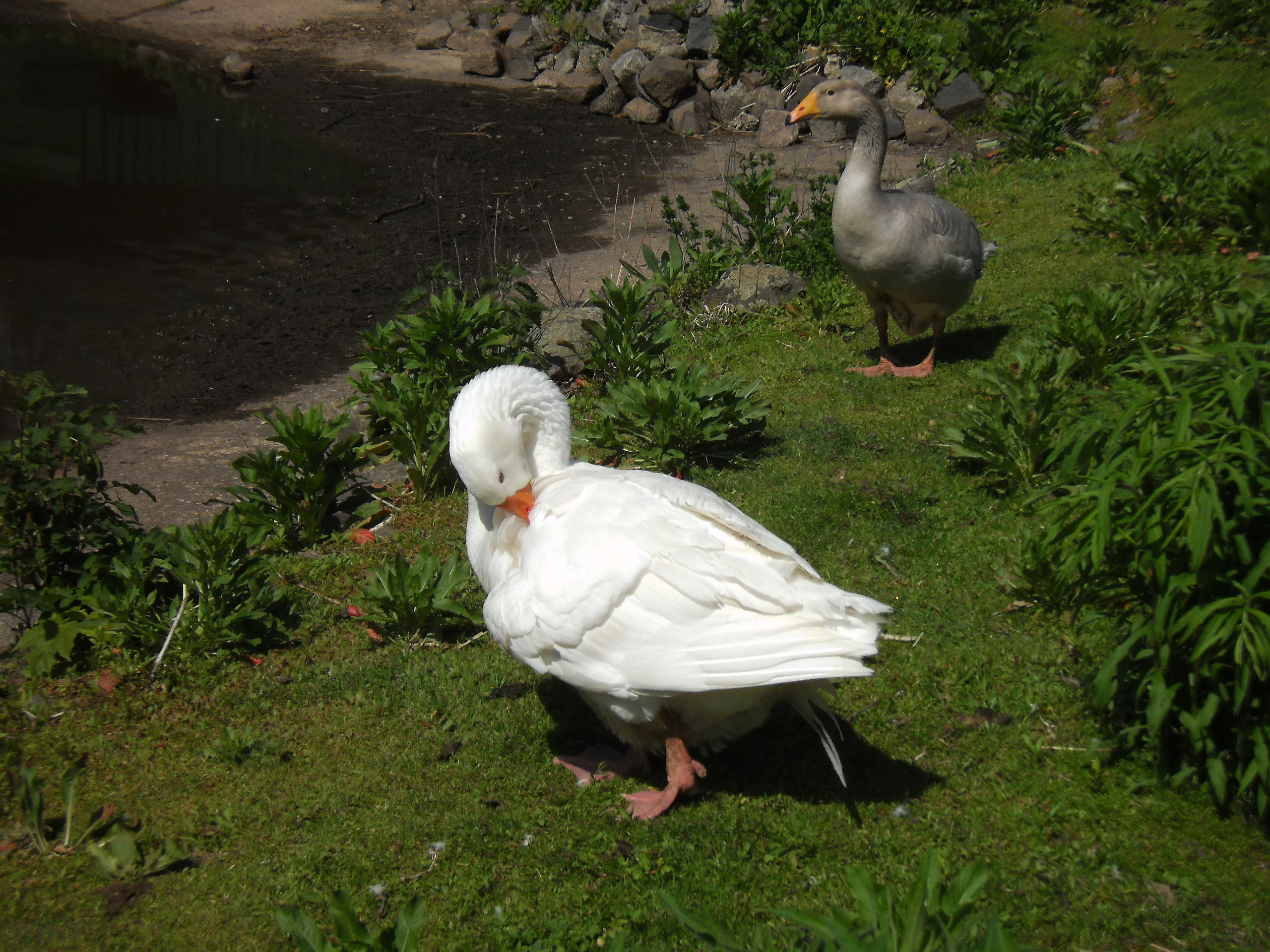 Kinderbauernhof Großziethen – Bild 5