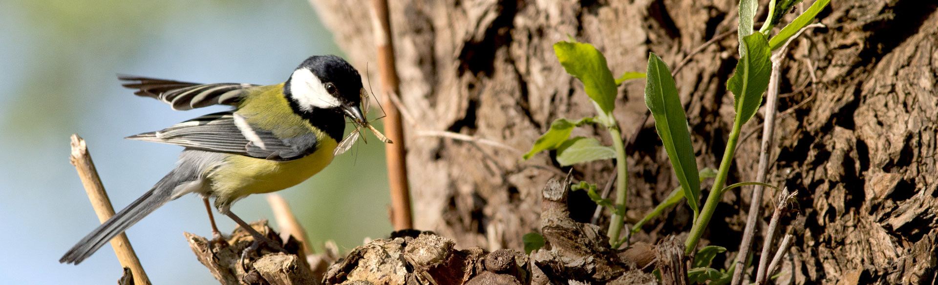 Wildpark Tannenbusch – Bild 4
