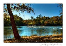 McIntosh Park – Bild 3