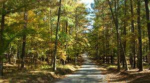 McIntosh Park – Bild 5