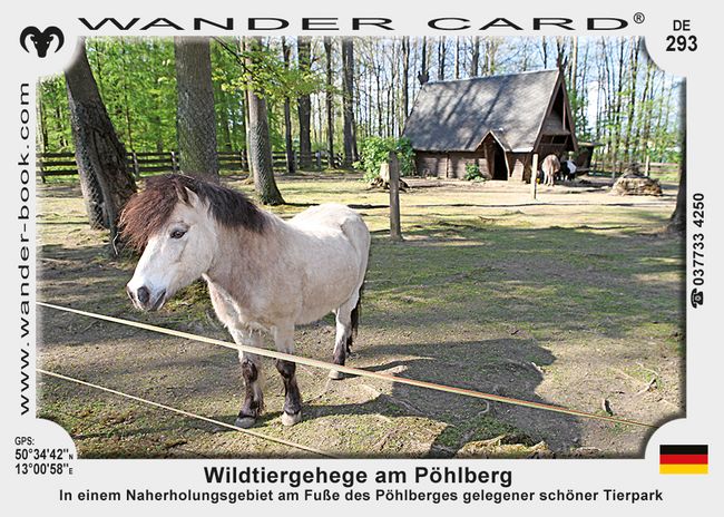 Wildtiergehege am Pöhlberg – Bild 5