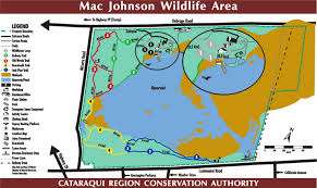 Mac Johnson Wildlife Area – Bild 2