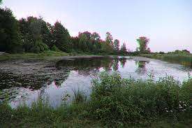 Mac Johnson Wildlife Area – Bild 3