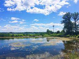 Mac Johnson Wildlife Area – Bild 6