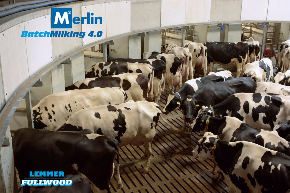 Agrarprodukte Kitzen eG - "Gläserner" Kuhstall – Bild 1