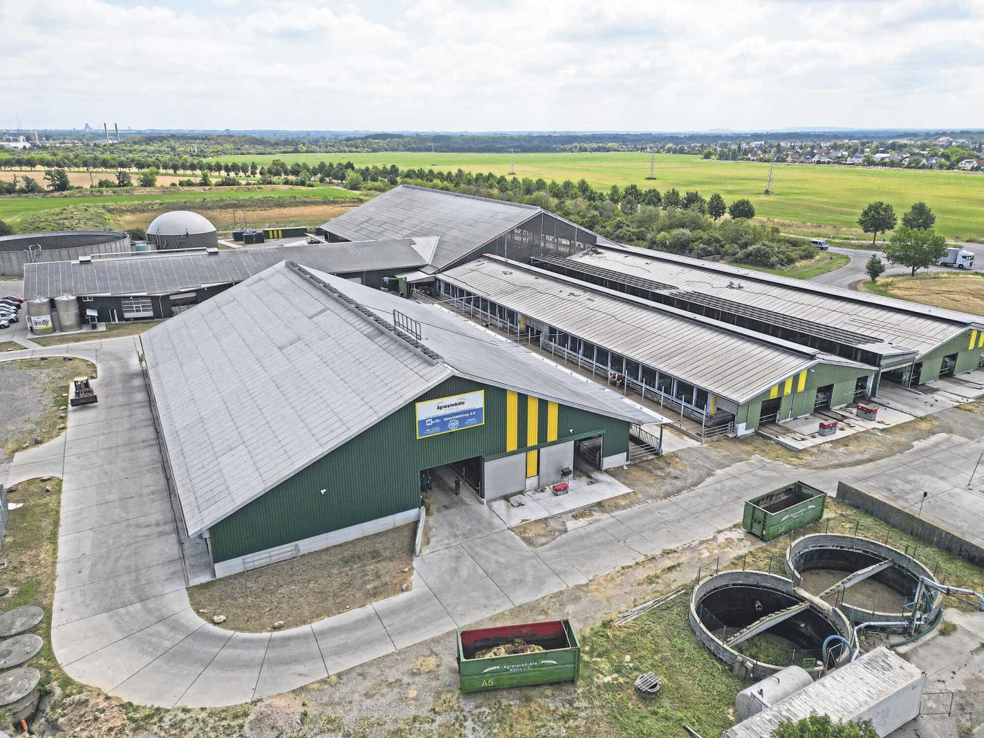 Agrarprodukte Kitzen eG - "Gläserner" Kuhstall – Bild 6