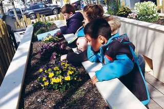 Little Green House Gland - multilingual creche public – Bild 6