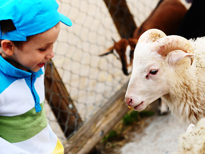 Kinderbunter Bauernhof – Bild 6