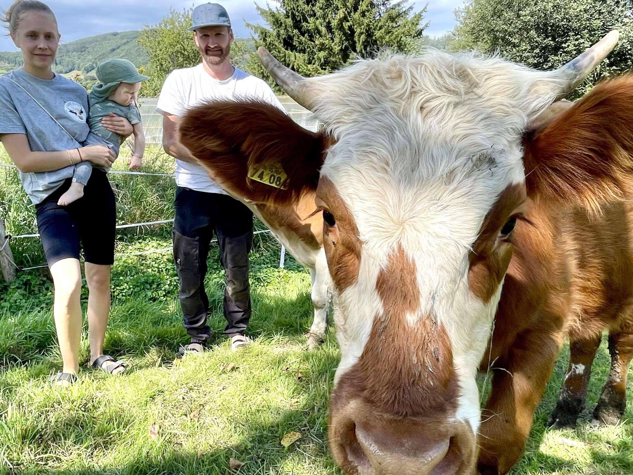 Biohof Berger – Bild 5