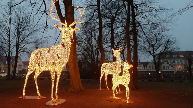 Balticpark – Bild 1