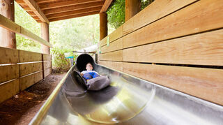 Röhrenrutsche - Baumkronenweg Waldkirch - – Bild 2