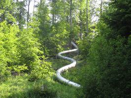 Röhrenrutsche - Baumkronenweg Waldkirch - – Bild 4