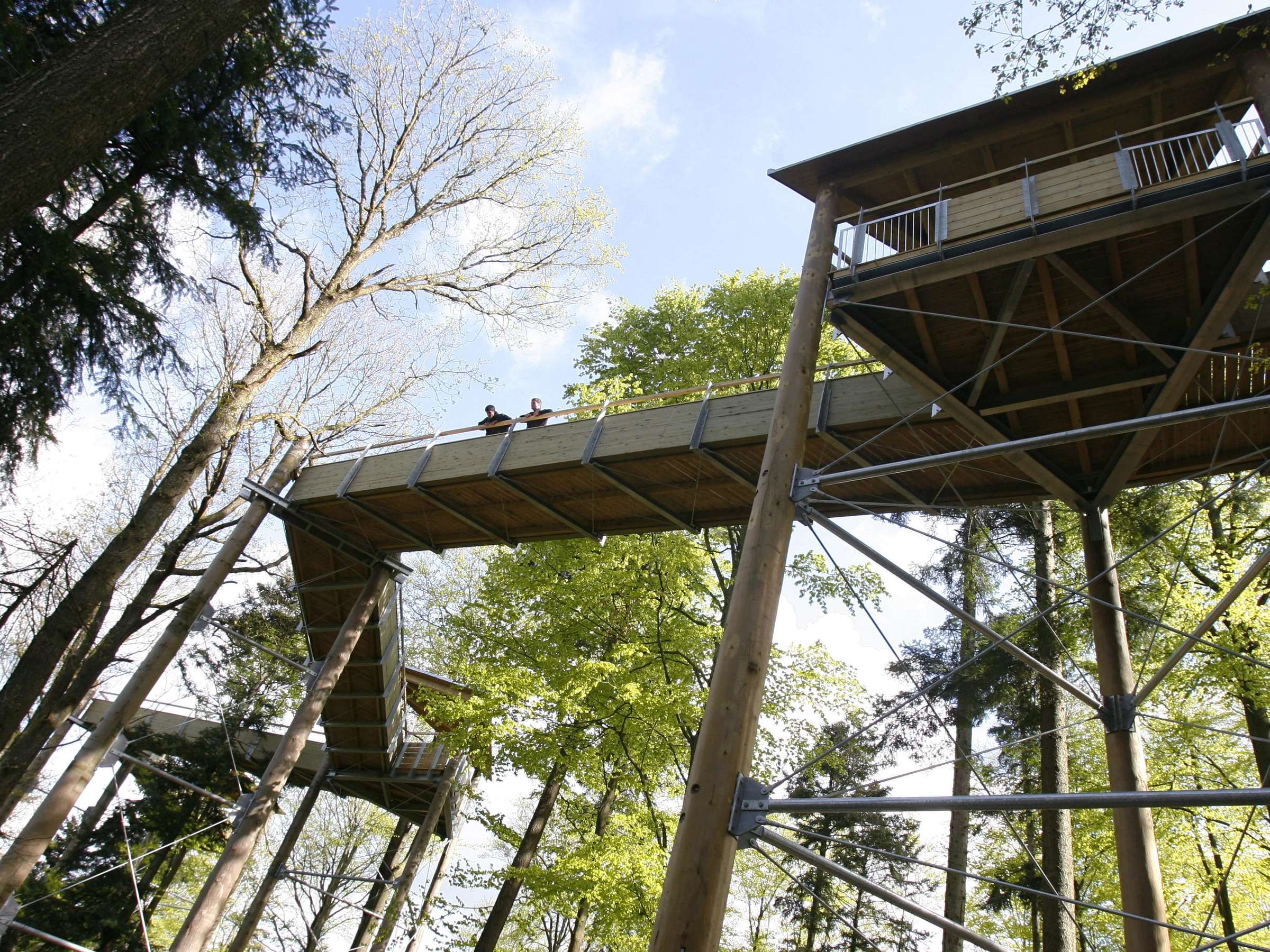 Röhrenrutsche - Baumkronenweg Waldkirch - – Bild 5