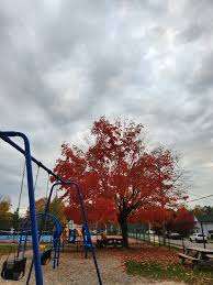 Rotary Park – Bild 2