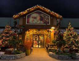 The Glasshouse Nursery & Garden Centre – Bild 3