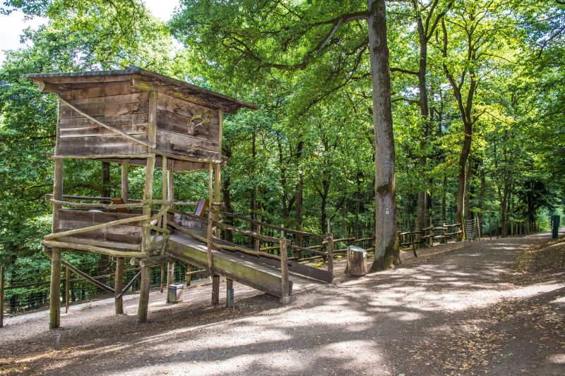 Damwildgehege – Bild 3