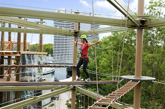 Abenteuer-Klettergarten – Bild 1