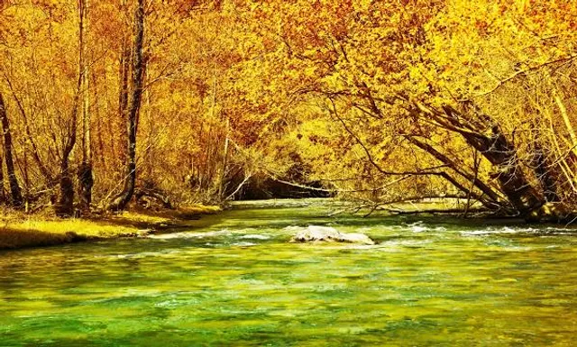 Emmeringer Hölzl, Park – Bild 2