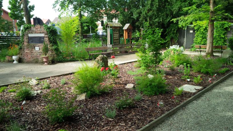 Vogelpark Plankstadt – Bild 2