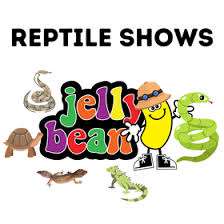 Jelly Bean Entertainment – Bild 5