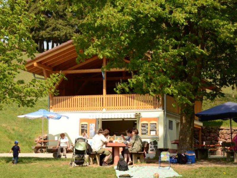 Wildgehege Heigenbrücken – Bild 6