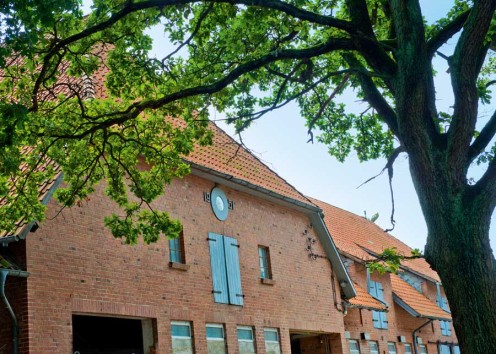 Hof Hartmann in Rettmer, Jochen Hartmann // Freilandeier, Kartoffeln und mehr direkt vom Hof – Bild 4