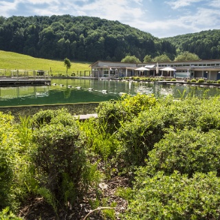 Grillplatz Ehrenwald Bechtoldsweiler – Bild 4