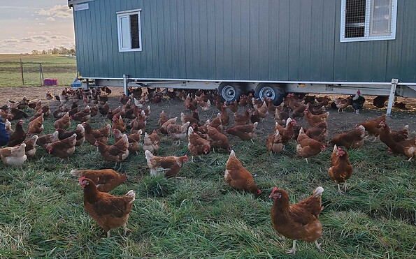 Hofladen Giese – Bild 2