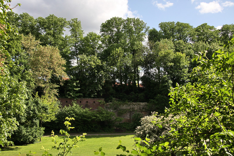 Liebesgrund – Bild 1