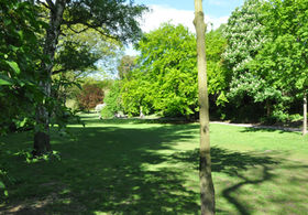 Liebesgrund – Bild 4