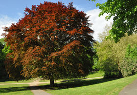 Liebesgrund – Bild 6