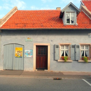 Gill's Weidenhof – Bild 4