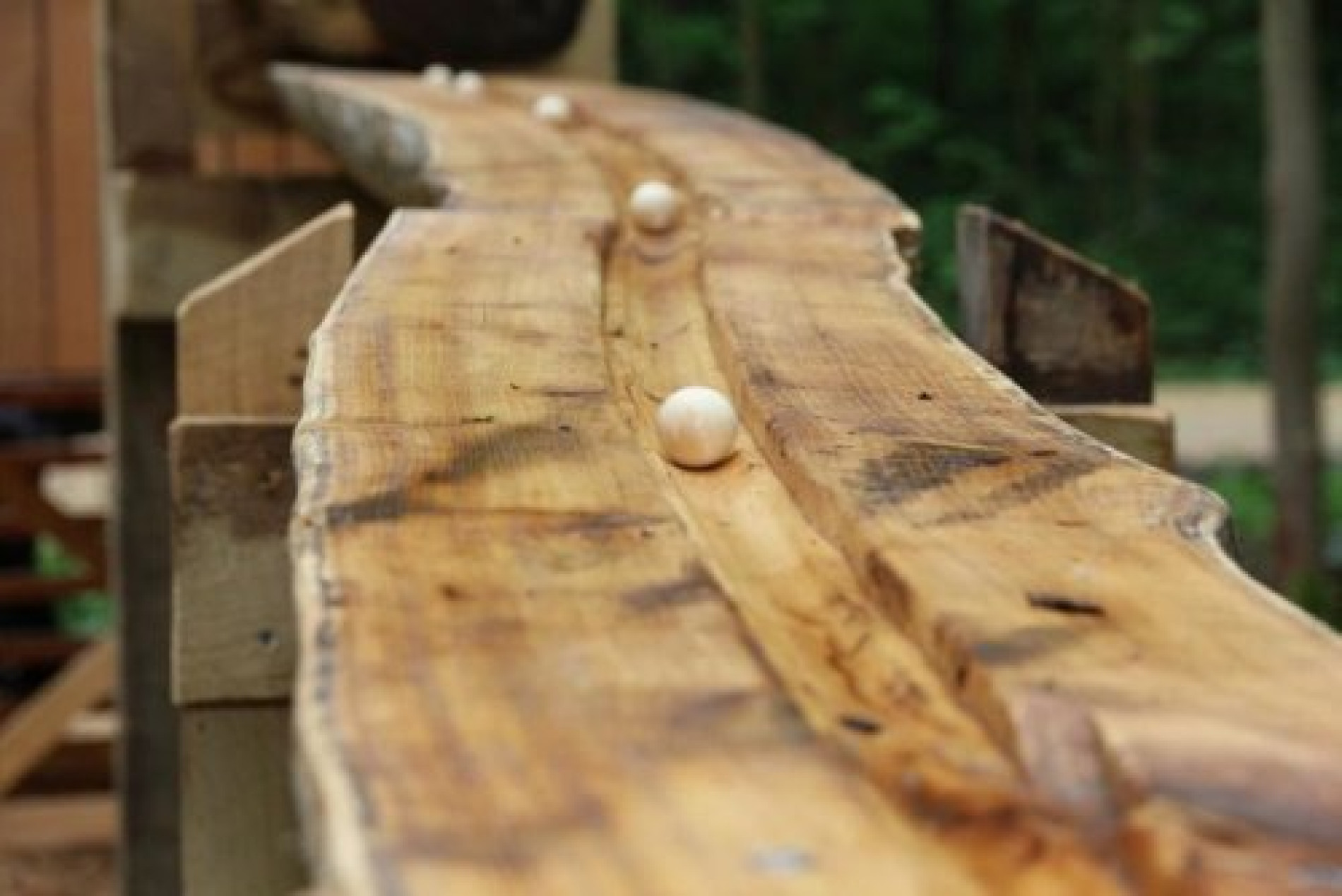 XXL-Waldkugelbahn – Bild 1