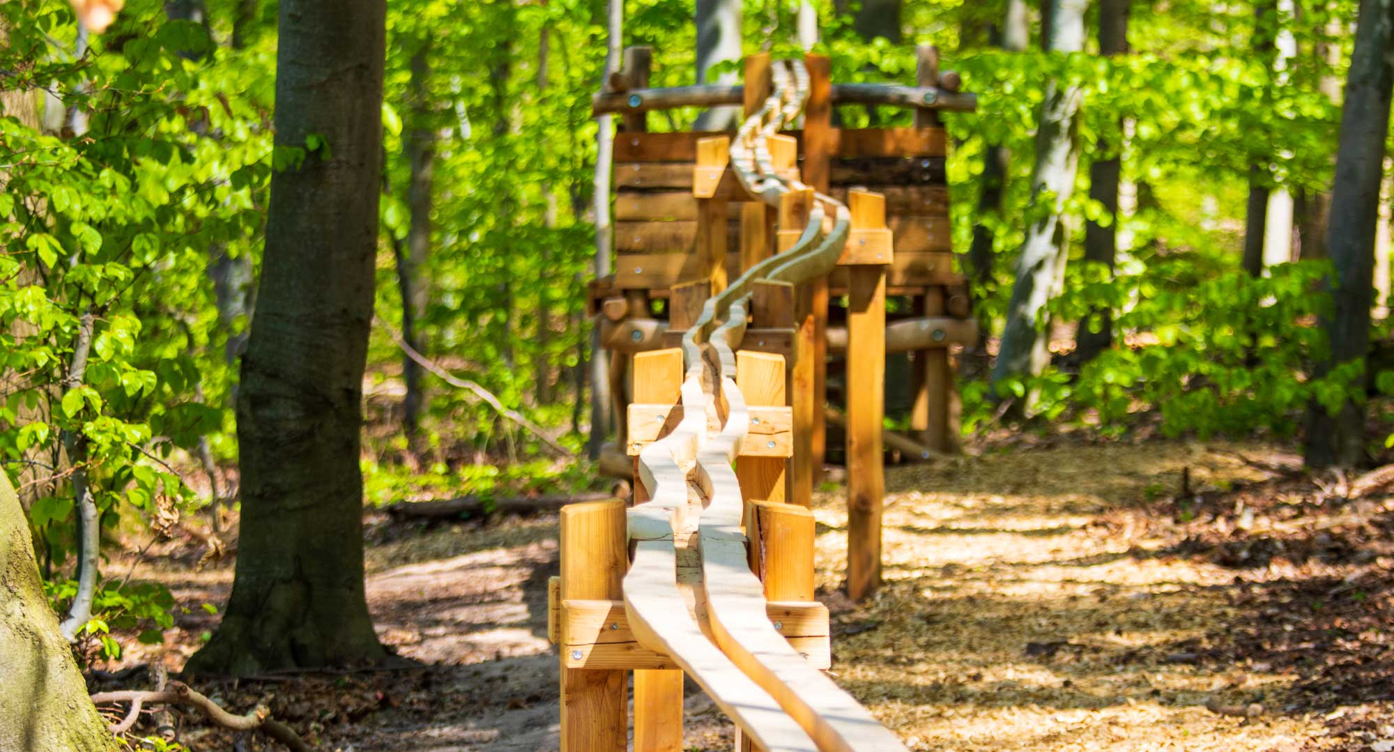 XXL-Waldkugelbahn – Bild 2