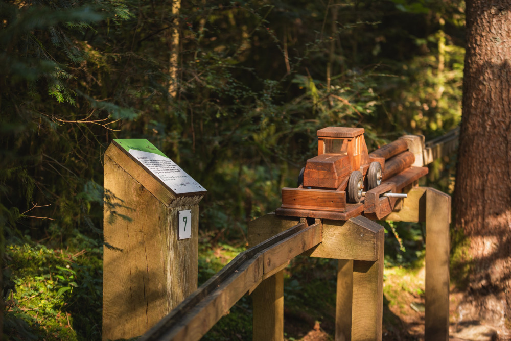 XXL-Waldkugelbahn – Bild 3