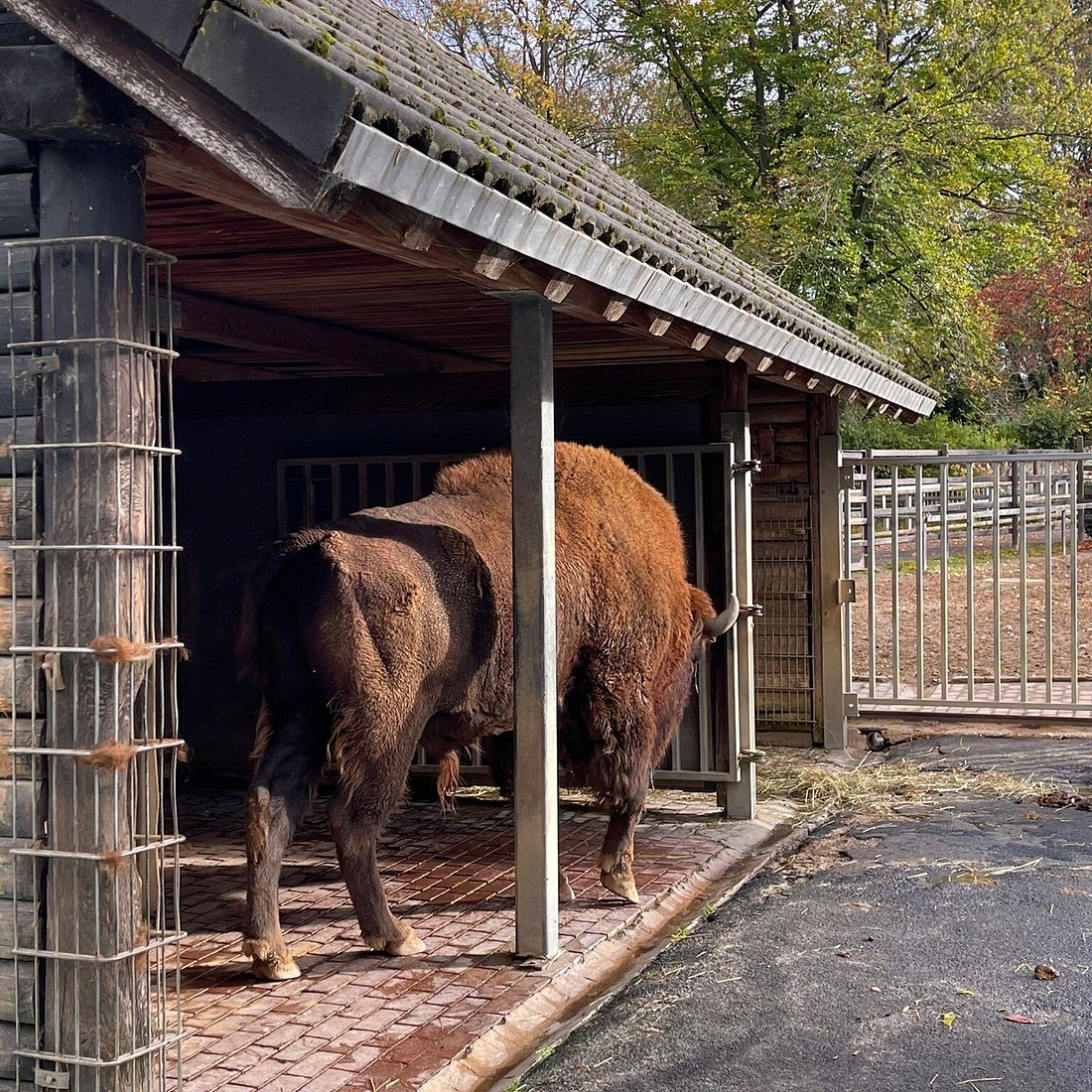 Tiergarten Mönchengladbach – Bild 1