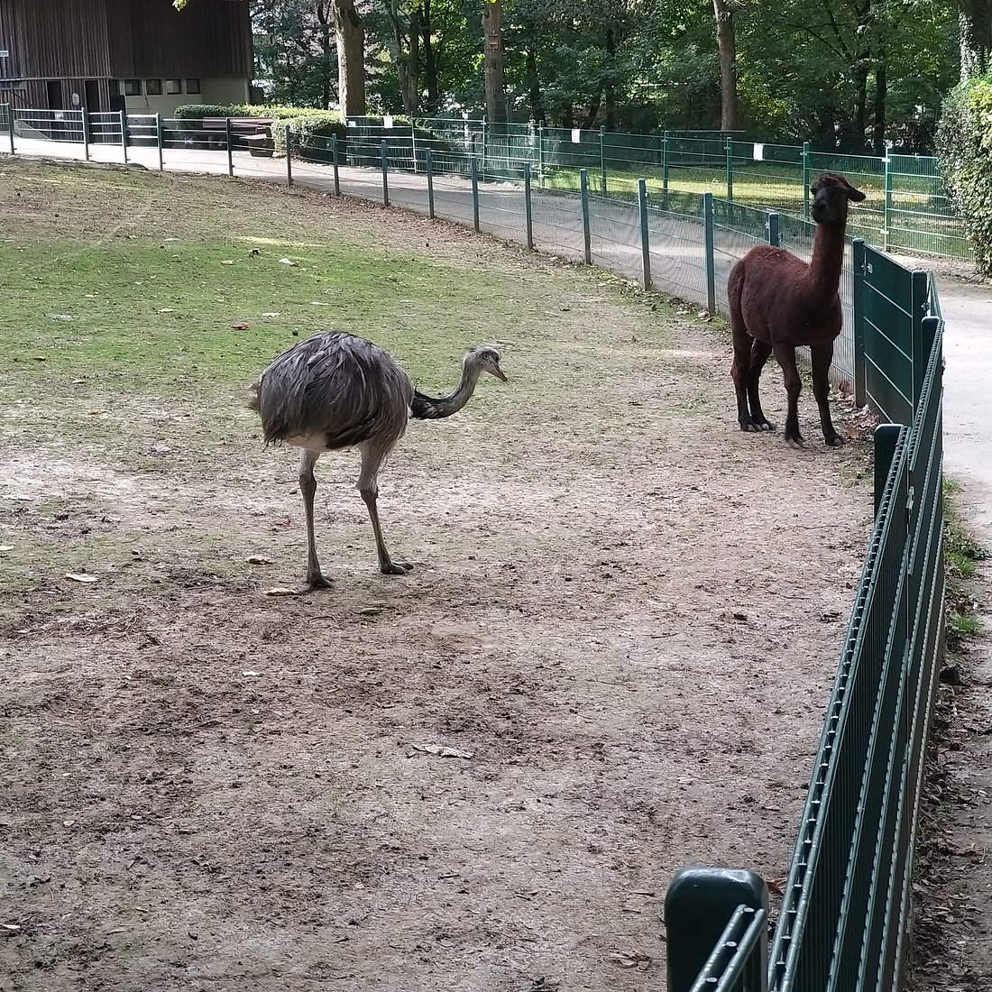 Tiergarten Mönchengladbach – Bild 6