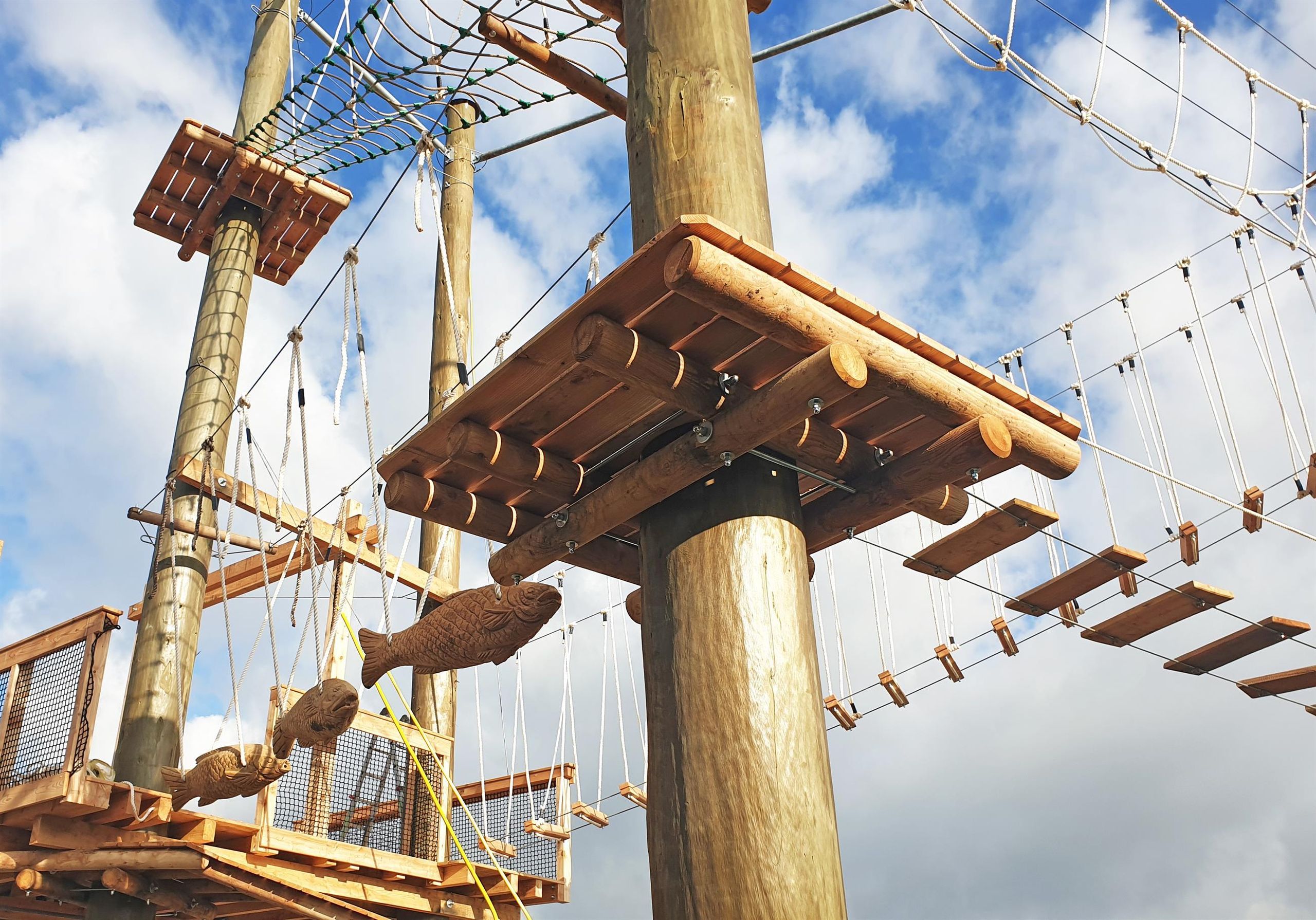 Flying Fox-Park – Bild 5