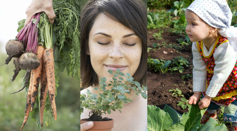 Feldfreunde – Bild 3