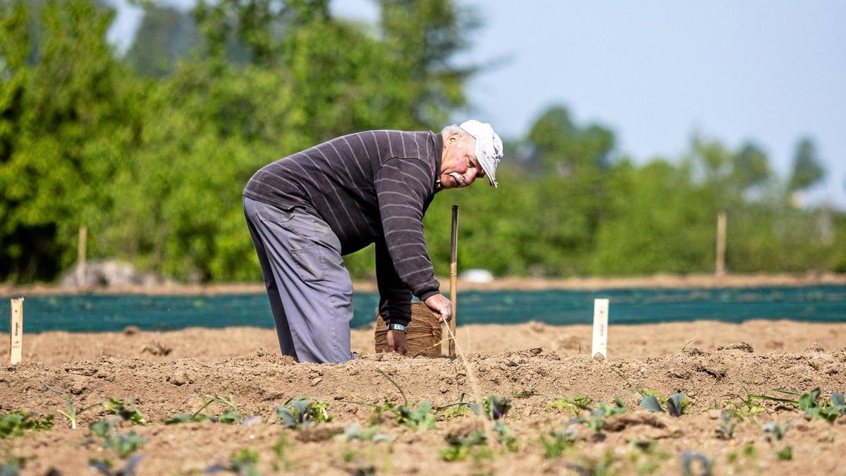 Feldfreunde – Bild 4
