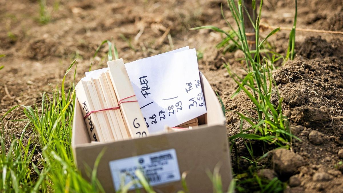 Feldfreunde – Bild 5