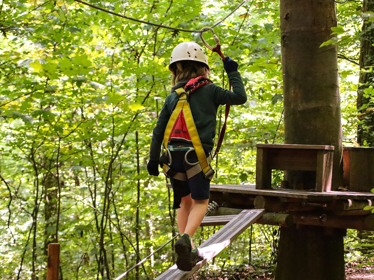 Kletterwald BinzProra Uwe Häusler – Bild 4