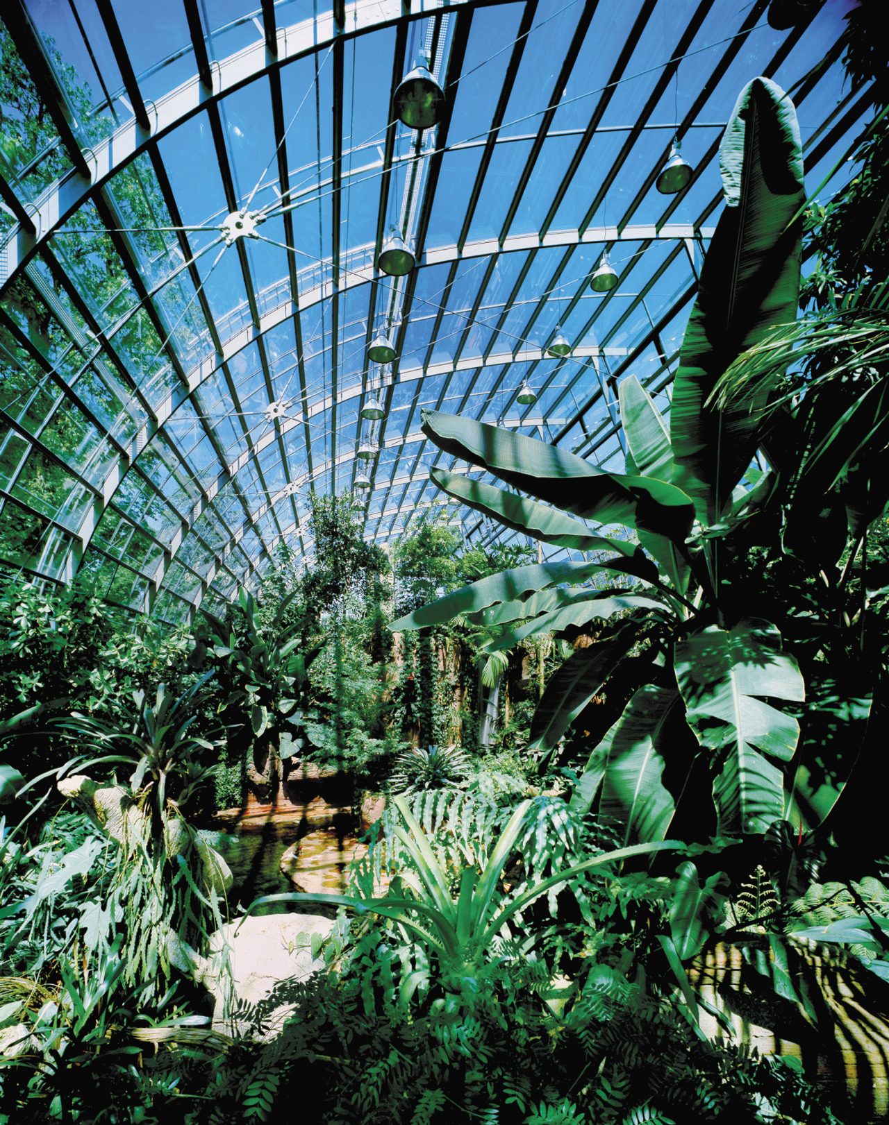 Amazonienhaus – Bild 2